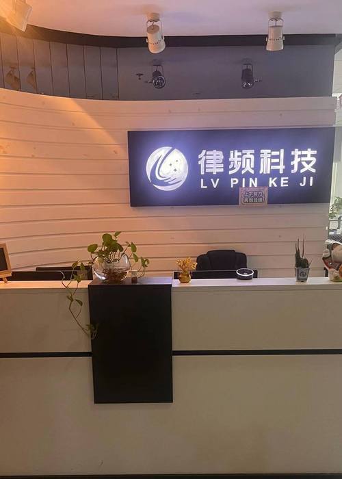 软件开发、互联网接入与数据服务 企业数字生态的三维支撑